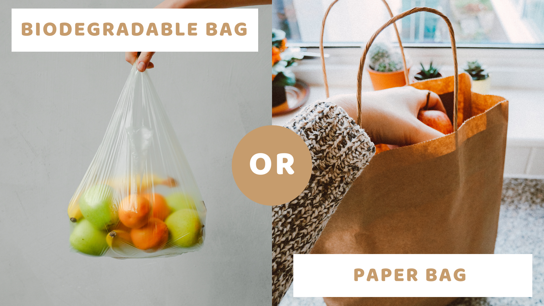 Biodegradable Bag Making Machine - Biodegradable Plastic Bag Making Machine  Latest Price, Manufacturers & Suppliers