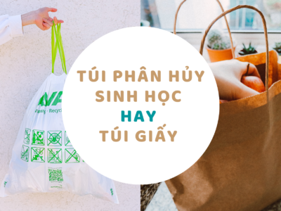 LỰA CHỌN TÚI PHSH HAY TÚI GIẤY LỰA CHỌN TÚI PHSH HAY TÚI GIẤY