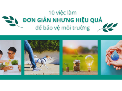 bảo vệ môi trường