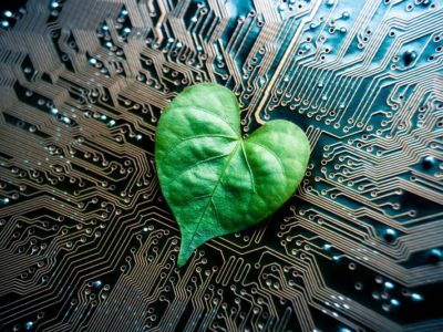 dreamstime_s_74170669