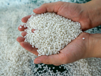 C0019.MP4.00_06_15_45.Still001 C0019.MP4.00_06_15_45.Still001